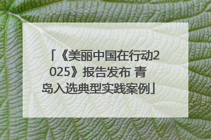 《美丽中国在行动2025》报告发布 青岛入选典型实践案例