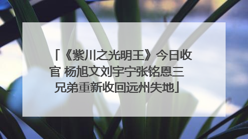 《紫川之光明王》今日收官 杨旭文刘宇宁张铭恩三兄弟重新收回远州失地