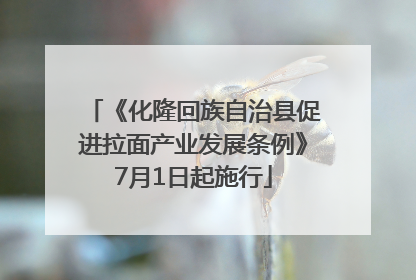 《化隆回族自治县促进拉面产业发展条例》7月1日起施行