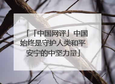 「中国网评」中国始终是守护人类和平安宁的中坚力量
