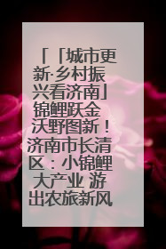 「城市更新·乡村振兴看济南」锦鲤跃金 沃野图新！济南市长清区：小锦鲤大产业 游出农旅新风景