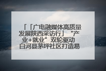 「广电融媒体高质量发展陕西采访行」“产业+就业”双轮驱动 白河县茅坪社区打造易地搬迁后扶新样本
