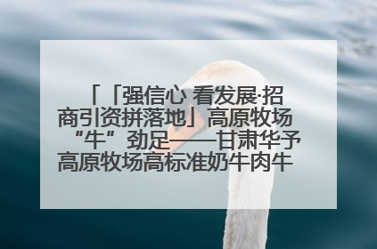 「强信心 看发展·招商引资拼落地」高原牧场“牛”劲足——甘肃华予高原牧场高标准奶牛肉牛养殖项目一线见闻
