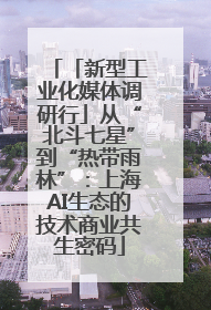 「新型工业化媒体调研行」从“北斗七星”到“热带雨林”：上海AI生态的技术商业共生密码
