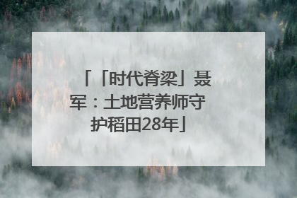 「时代脊梁」聂军：土地营养师守护稻田28年