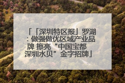 「深圳特区报」罗湖：做强做优区域产业品牌 擦亮“中国宝都 深圳水贝”金字招牌