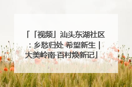 「视频」汕头东湖社区：乡愁归处 希望新生｜大美岭南·百村焕新记
