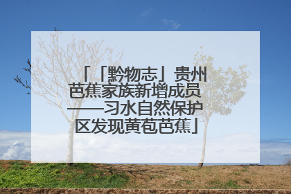 「黔物志」贵州芭蕉家族新增成员——习水自然保护区发现黄苞芭蕉
