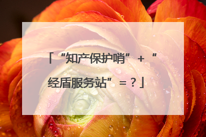 “知产保护哨”+“经盾服务站”=？