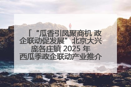 “瓜香引凤聚商机 政企联动促发展”北京大兴庞各庄镇 2025 年西瓜季政企联动产业推介活动圆满举行