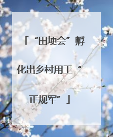 “田埂会”孵化出乡村用工“正规军”