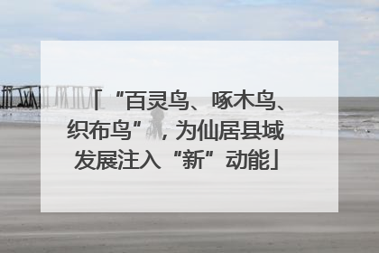 “百灵鸟、啄木鸟、织布鸟”，为仙居县域发展注入“新”动能