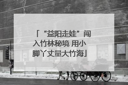 “益阳走娃”闯入竹林秘境 用小脚丫丈量大竹海