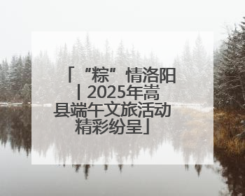 “粽”情洛阳丨2025年嵩县端午文旅活动精彩纷呈