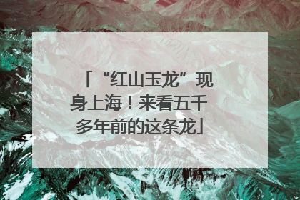 “红山玉龙”现身上海！来看五千多年前的这条龙