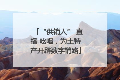 “供销人” 直播 吆喝，为土特产开辟数字销路