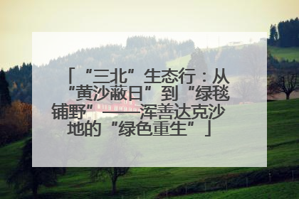“三北”生态行：从“黄沙蔽日”到“绿毯铺野”——浑善达克沙地的“绿色重生”