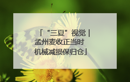 “三夏”视觉｜孟州麦收正当时 机械减损保归仓