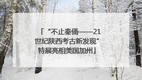 “不止秦俑——21世纪陕西考古新发现”特展亮相美国加州