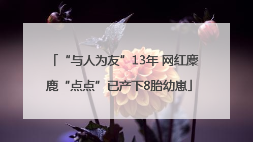 “与人为友”13年 网红麋鹿“点点”已产下8胎幼崽