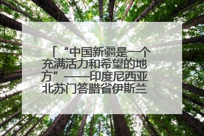 “中国新疆是一个充满活力和希望的地方”——印度尼西亚北苏门答腊省伊斯兰教代表团参访新疆