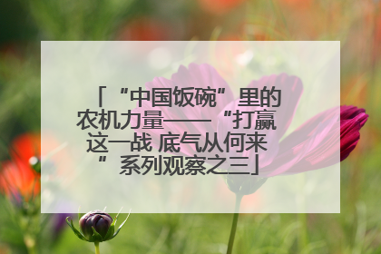 “中国饭碗”里的农机力量——“打赢这一战 底气从何来”系列观察之三