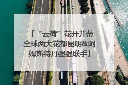 “云荷”花开并蒂 全球两大花都昆明&阿姆斯特丹强强联手