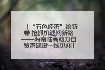 “五色经济”绘新卷 抢抓机遇闯新路——海南临高助力自贸港建设一线见闻