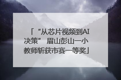 “从芯片视频到AI决策” 眉山彭山一小教师斩获市赛一等奖
