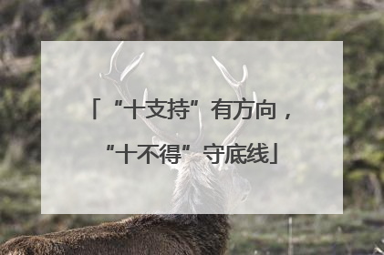 “十支持”有方向，“十不得”守底线