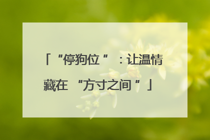 “停狗位 ”：让温情藏在 “方寸之间 ”