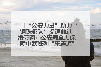 “公安力量”助力“钢铁驼队”提速前进 绥芬河市公安局全力保障中欧班列“东通道”绥芬河隧道贯通