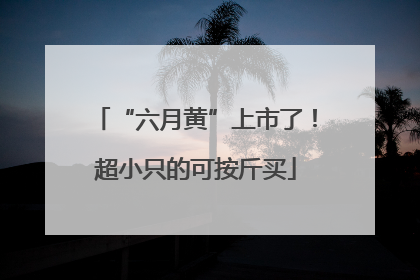 “六月黄”上市了！超小只的可按斤买