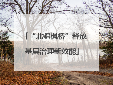 “北疆枫桥”释放基层治理新效能