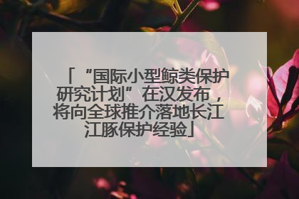 “国际小型鲸类保护研究计划”在汉发布，将向全球推介落地长江江豚保护经验