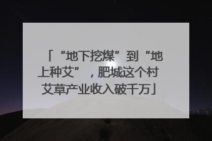 “地下挖煤”到“地上种艾”，肥城这个村艾草产业收入破千万