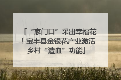 “家门口”采出幸福花！宝丰县金银花产业激活乡村“造血”功能