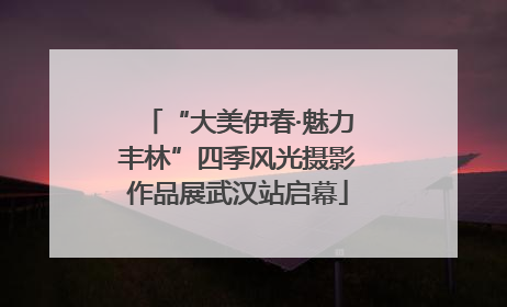 “大美伊春·魅力丰林”四季风光摄影作品展武汉站启幕