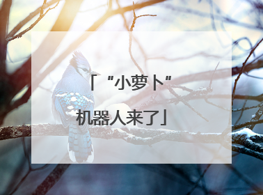 “小萝卜”机器人来了
