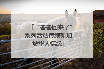 “峇峇回来了”系列活动传续新加坡华人情缘