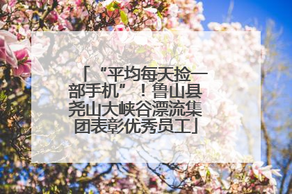 “平均每天捡一部手机”！鲁山县尧山大峡谷漂流集团表彰优秀员工