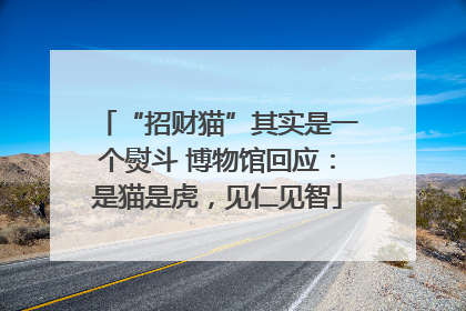 “招财猫”其实是一个熨斗 博物馆回应：是猫是虎，见仁见智