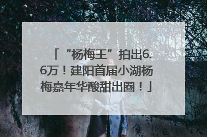 “杨梅王”拍出6.6万！建阳首届小湖杨梅嘉年华酸甜出圈！
