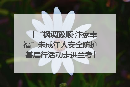 “枫调豫顺·汴家幸福”未成年人安全防护基层行活动走进兰考