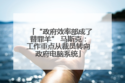 “政府效率部成了替罪羊” 马斯克：工作重点从裁员转向政府电脑系统