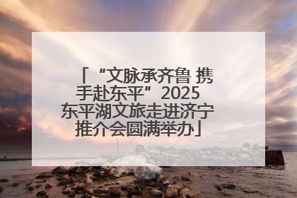 “文脉承齐鲁 携手赴东平”2025东平湖文旅走进济宁推介会圆满举办