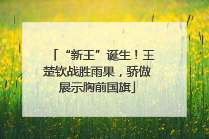 “新王”诞生！王楚钦战胜雨果，骄傲展示胸前国旗