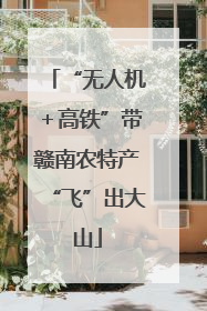 “无人机＋高铁”带赣南农特产“飞”出大山