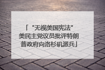 “无视美国宪法” 美民主党议员批评特朗普政府向洛杉矶派兵