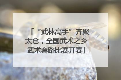 “武林高手”齐聚太仓，全国武术之乡武术套路比赛开赛